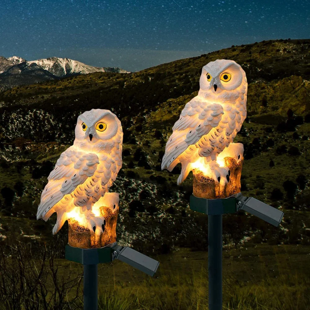 Endearing presence for outdoor spaces