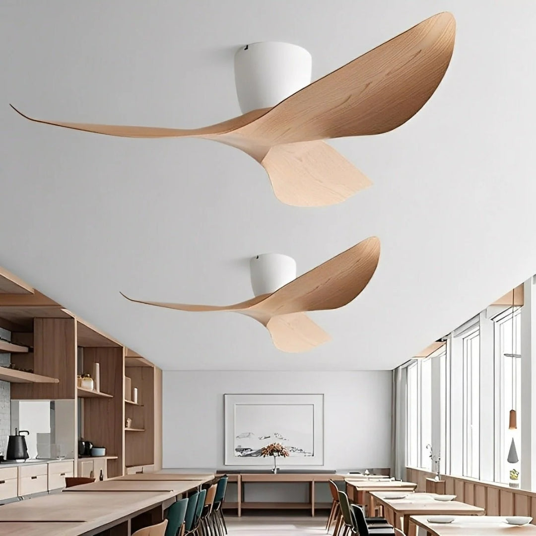 Clean lines that recede into space