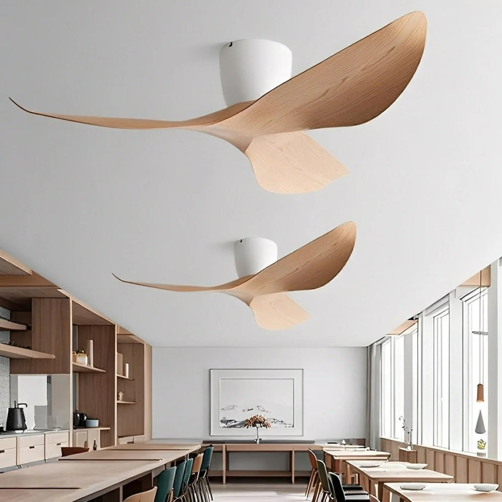 Albrecht | Ceiling Fan with Blades for Modern Living Spaces