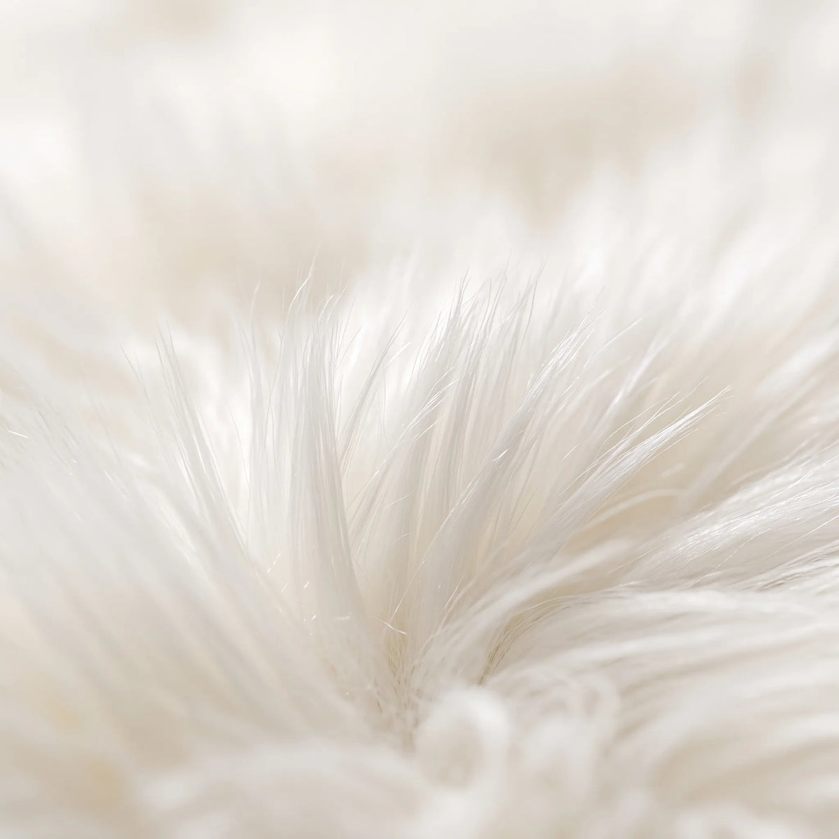Lucienne | Soft Plush Velvet Rug with Non-Slip Backing for Living Room