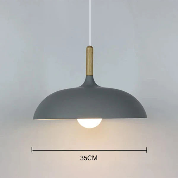 Sienna | Ceiling Lights in Northern Oak for Living Room
