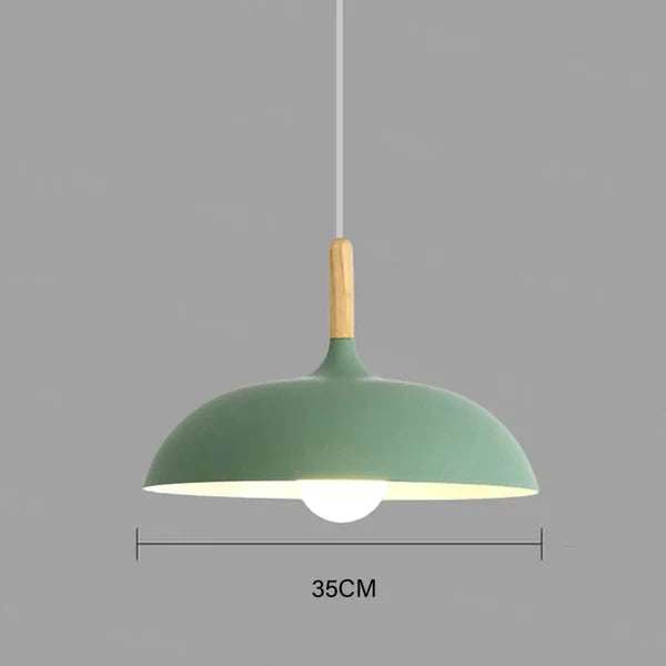 Sienna | Ceiling Lights in Northern Oak for Living Room