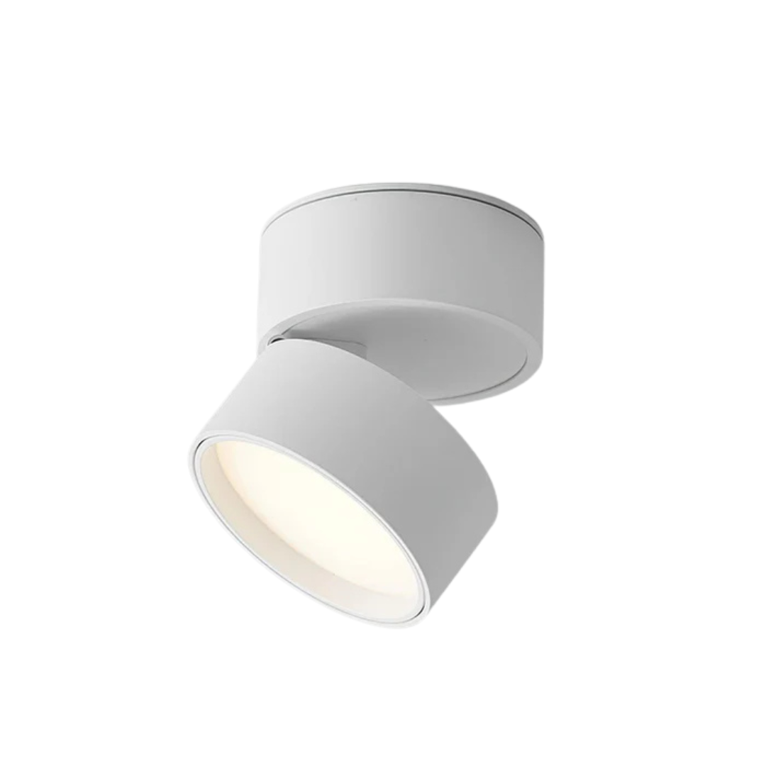 Lisette | Adjustable LED Ceiling Light for Living Room