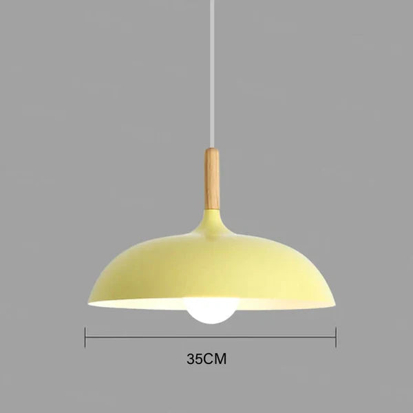 Sienna | Ceiling Lights in Northern Oak for Living Room
